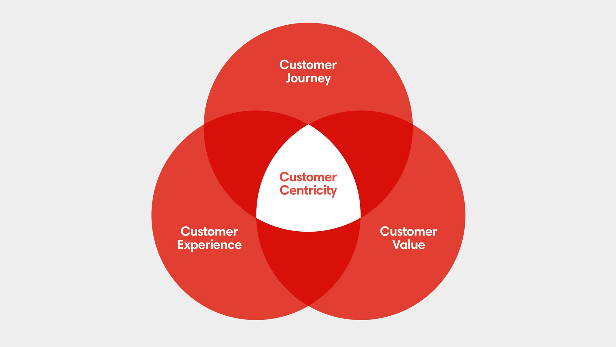 Rawww-customer-centric-blog-venn-diagram